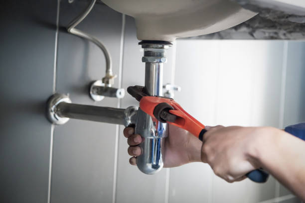 Best Shower Repair Services  in Sisseton, SD